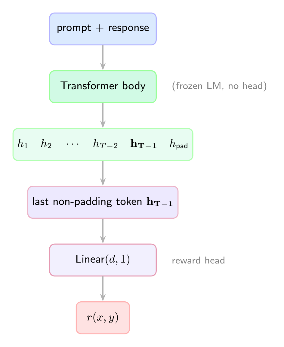 Reward model architecture: transformer body to last-token hidden state to scalar reward